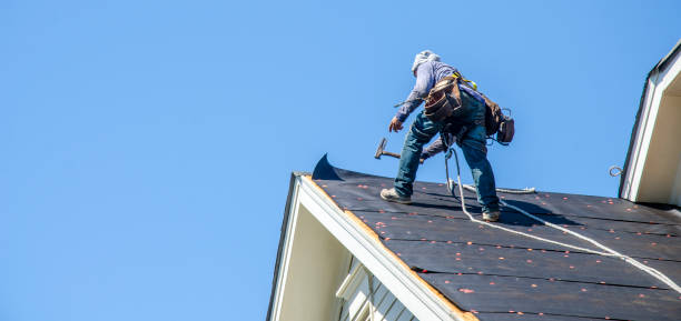 Roof Gutter Cleaning in Summit, MS